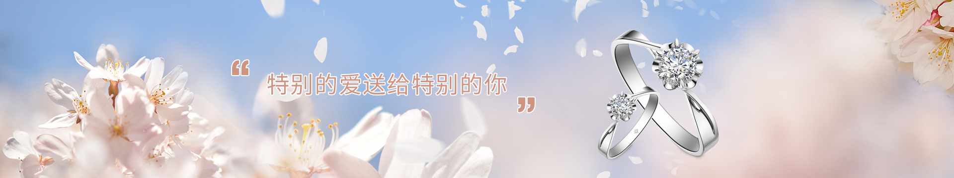 乐视足球高清直播